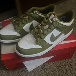 New in box Nike Dunks